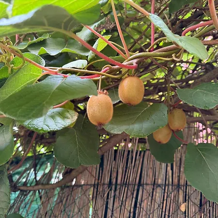 Naehe Woerthersee, Universitaet & Innenstadt Klagenfurt am Woerthersee