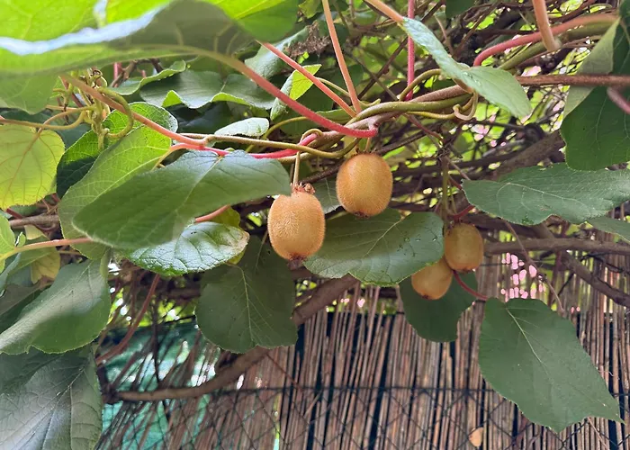 Naehe Woerthersee, Universitaet & Innenstadt Klagenfurt am Woerthersee